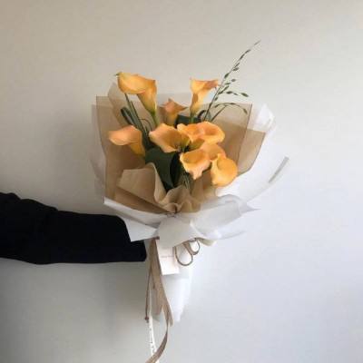 秦时明月2 360版下载