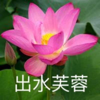 烽鼎乱世游戏下载