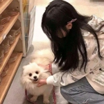 王牌射手无限金币内购破解版下载